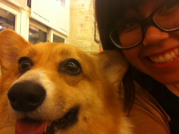 me and a corg, hanging out
