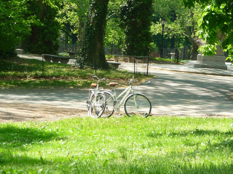Onze fietsen in Central Park