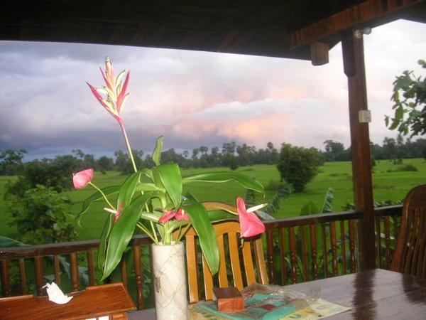 The view from my breakfast table looking over the rice fields in Toungoo