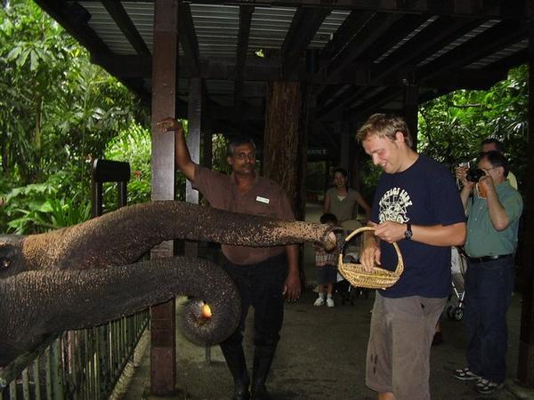 Hywel beats orphans on a day trip out of the way to feed the Elephants in the zoo