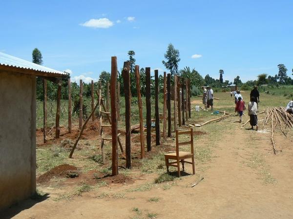 The posts go up at Neema (we dug some of the holes..)