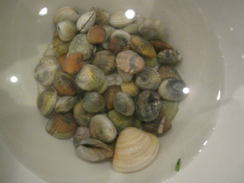Cockles 