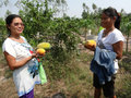 Girls holding their Papayas...