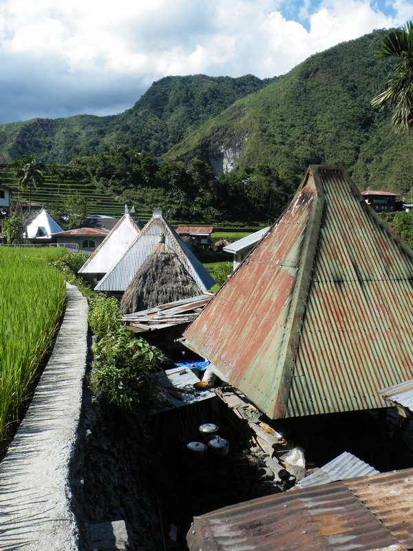 The traditional houses of the Ifuago 