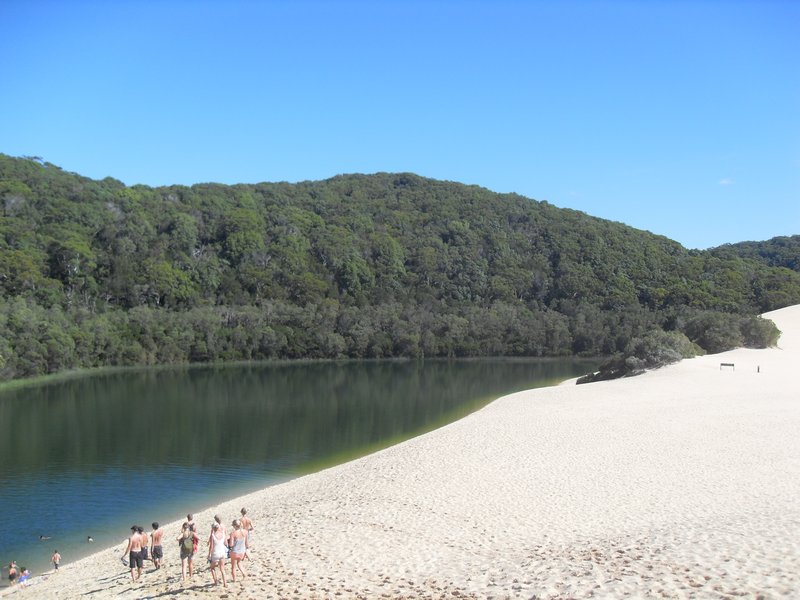 Fraser Island 20.03.11 (157)