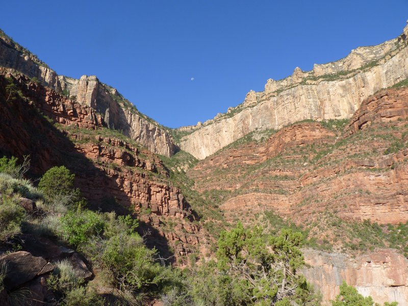 Looking up at the Canyon from the halfway point
