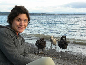 Moria´s Swans at Lake Taupo