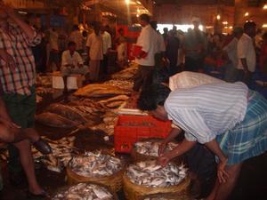 Fish Market in Mumbai