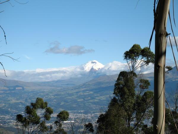 A view from a park in quito