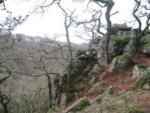 Dewerstone Rock, Dartmoor