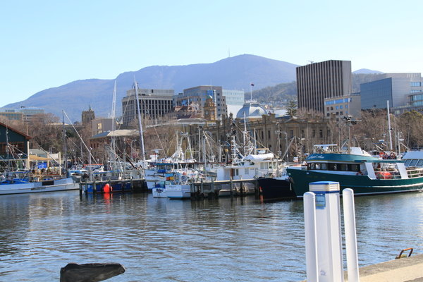 Hobart Marina
