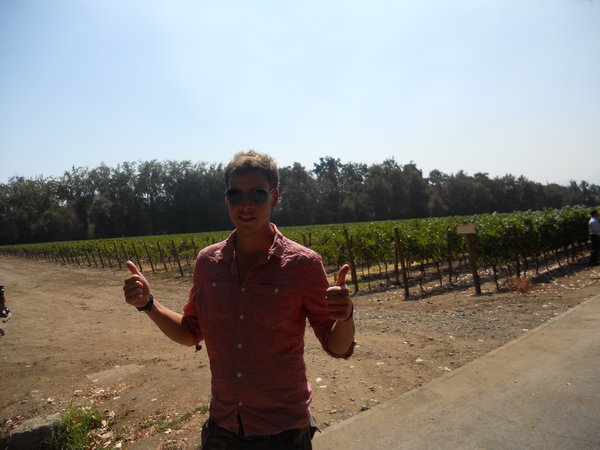 At the vineyard
