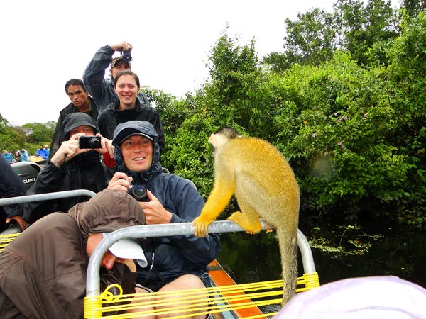 Monkey on the boat