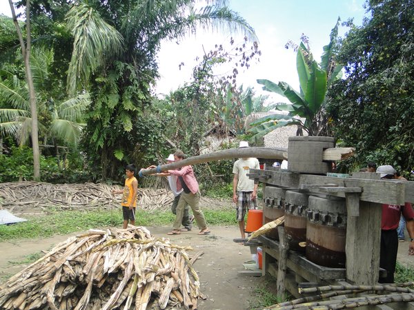 Making sugarcane juice at a local village