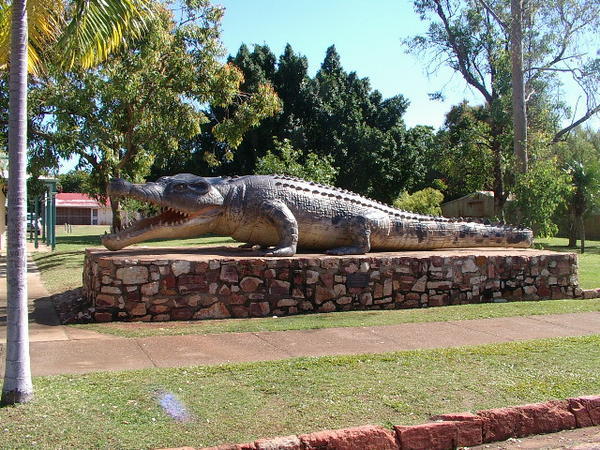Big Crocodile
