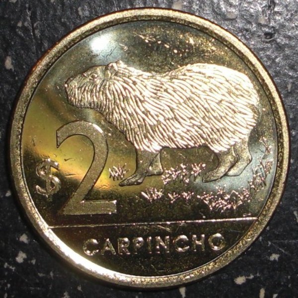 $2 coin picturing carpincho (capybara)