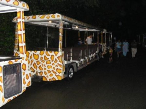The night safari train