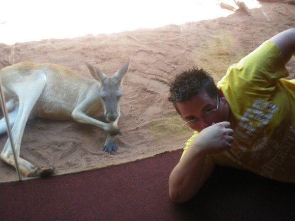 will and kangaroo