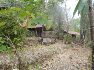 Accommodation in the Last Resort - very jungle like!