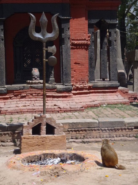 A Hindu shrine and a monkey.