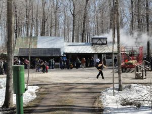 Maple Syrup Festival 44