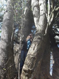 Yes I still love climbing trees