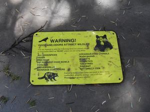 Watch out for wildlife!