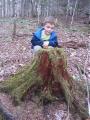Marc by a mossy stump