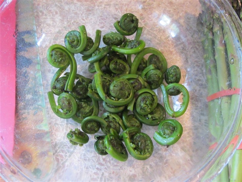 Fiddleheads - another first for sheila