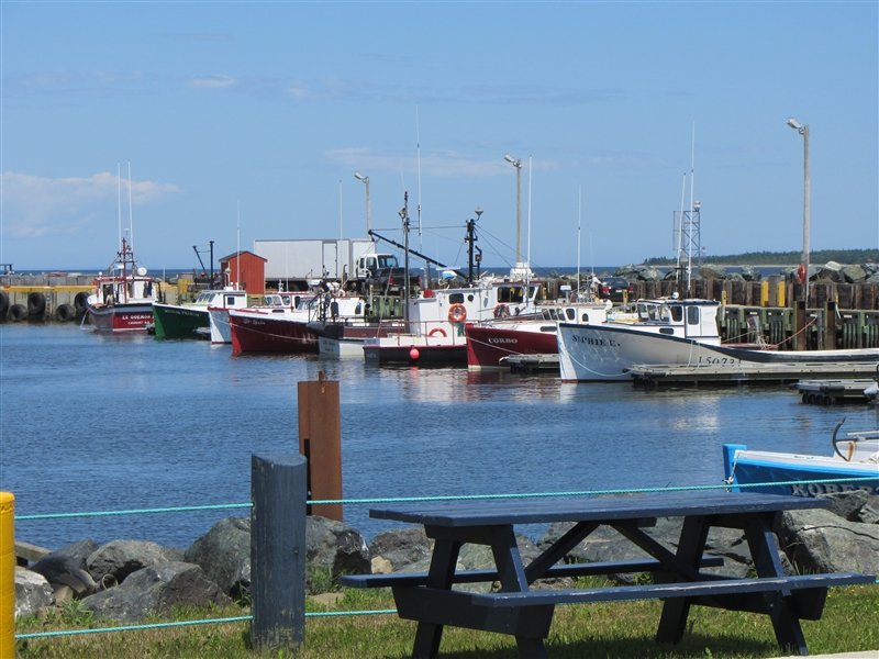 lobster boats in the Caraquet harbour
