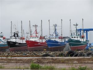 Crab and Herring boats in dry dock