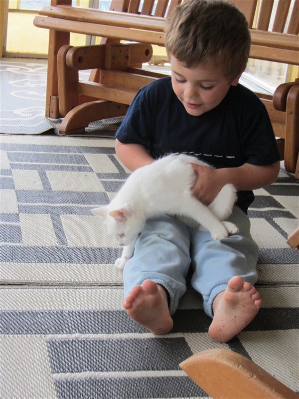 Marc playing with the kittens in St. Eusebe