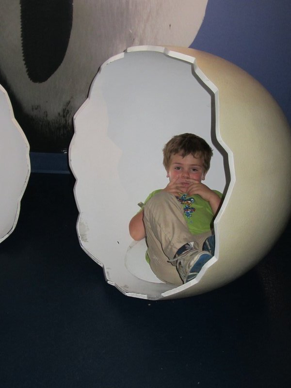hatching from the egg at Biodome