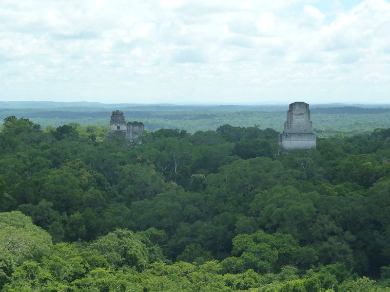 View of the canopy, and a couple of the temples from Temple 4