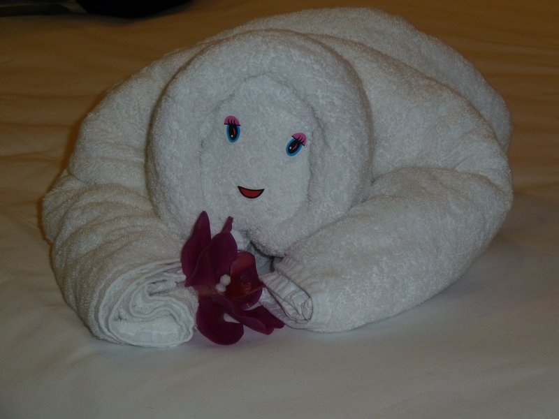 By far the best towel arrangement to date. In case you were wondering, a swan was a not so close second place!