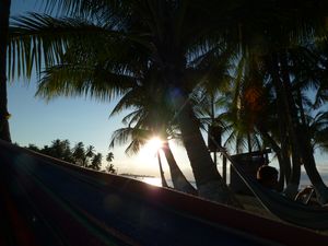 View from the hammock1
