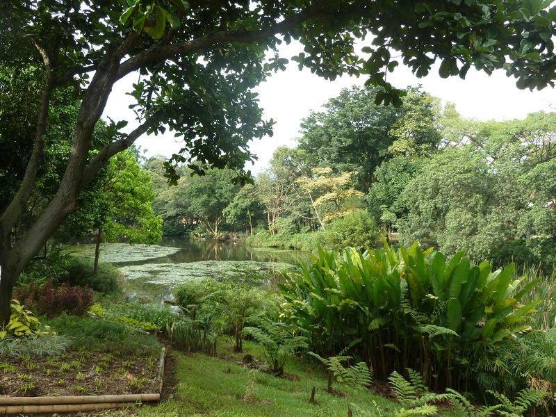 The Botanical gardens