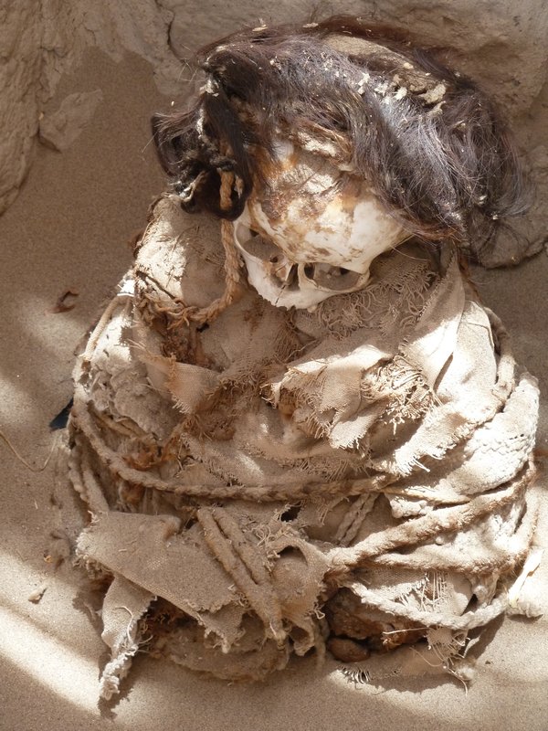 Mummified baby, Chauchilla cemetery