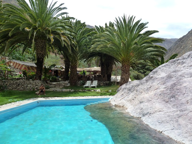 Swimming pool in the oasis