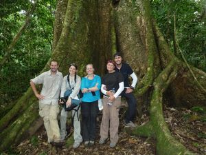 Our group and a rather large tree!
