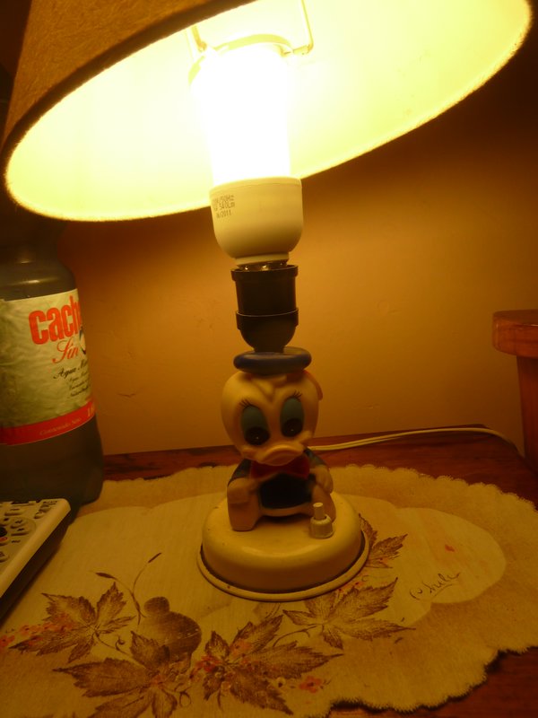 Donald Duck lamp...priceless!