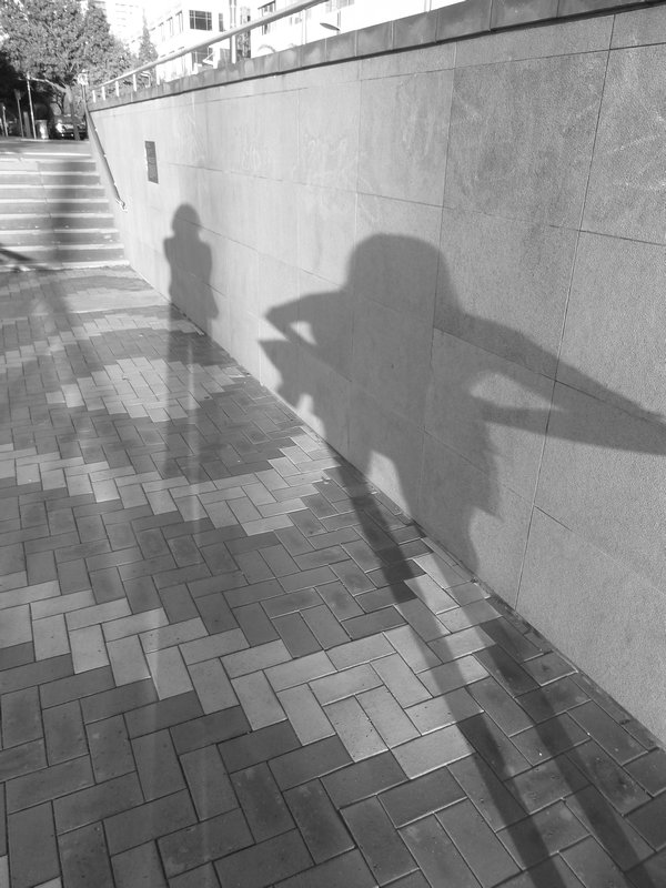 Shadow fun!