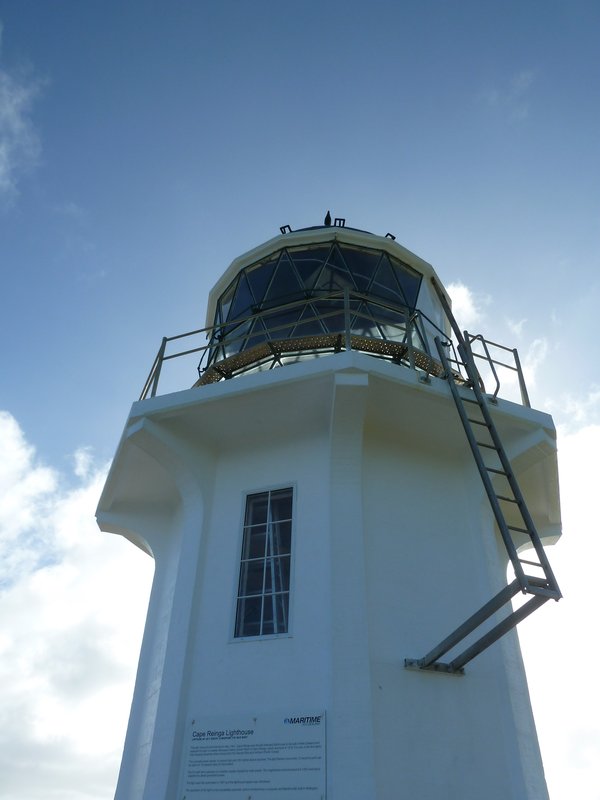 Looking up at the Lighthouse at the tip of the North Island