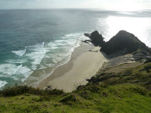 Tip of the North Island