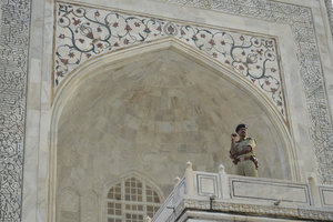 Taj Guard