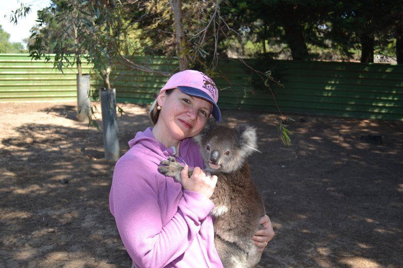 Vesna's koala