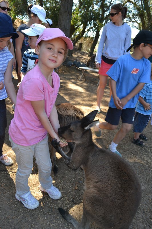 Sophie und ein Kängurou / Sophie and a kangaroo