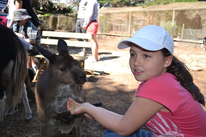 Anna und ein Kängurou / Anna and a kangaroo