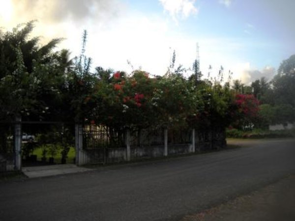 Pohnpei hotel covered with flowers