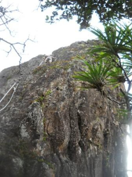 Steep Climb Sokeh's Rock
